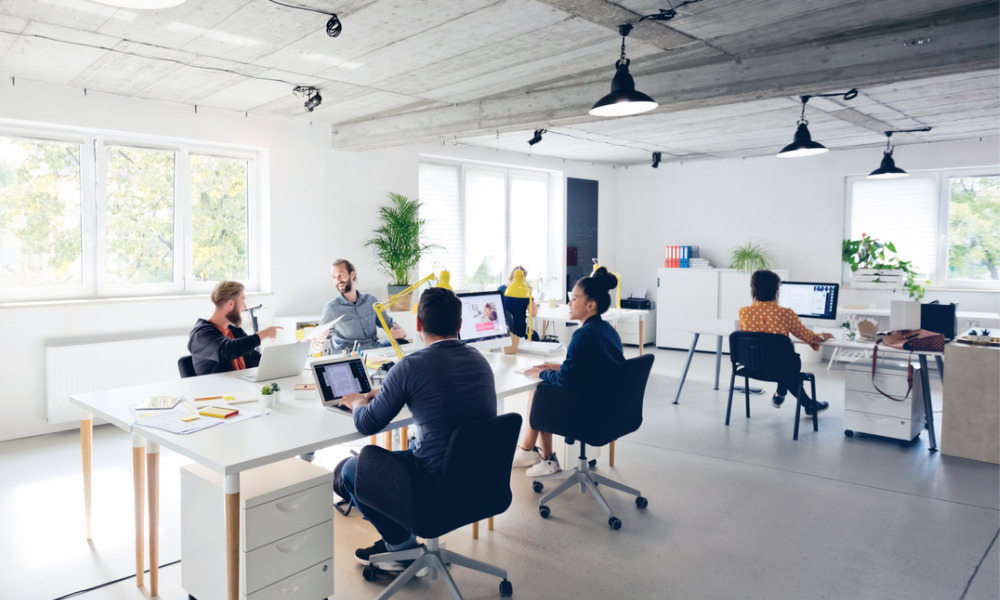 New Zealand office environment